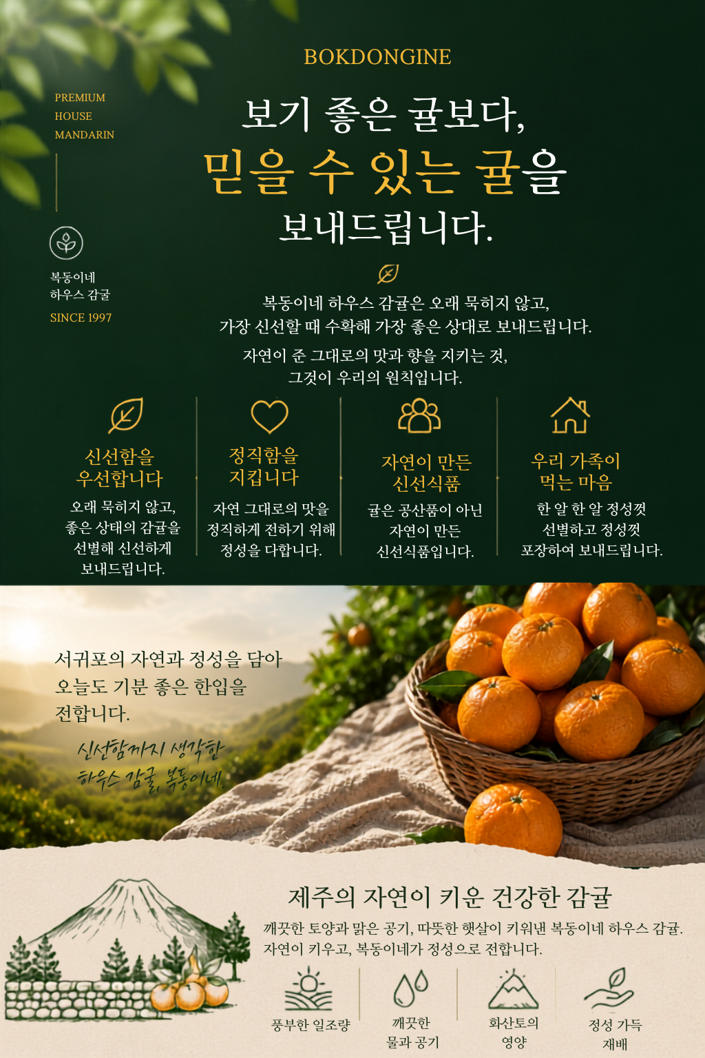 BOKDONGINE (1)