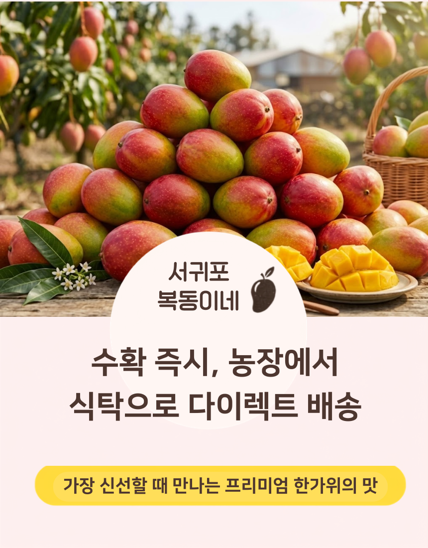 수확 즉시, 농장에서 식탁으로 다이렉트 배송 (1)